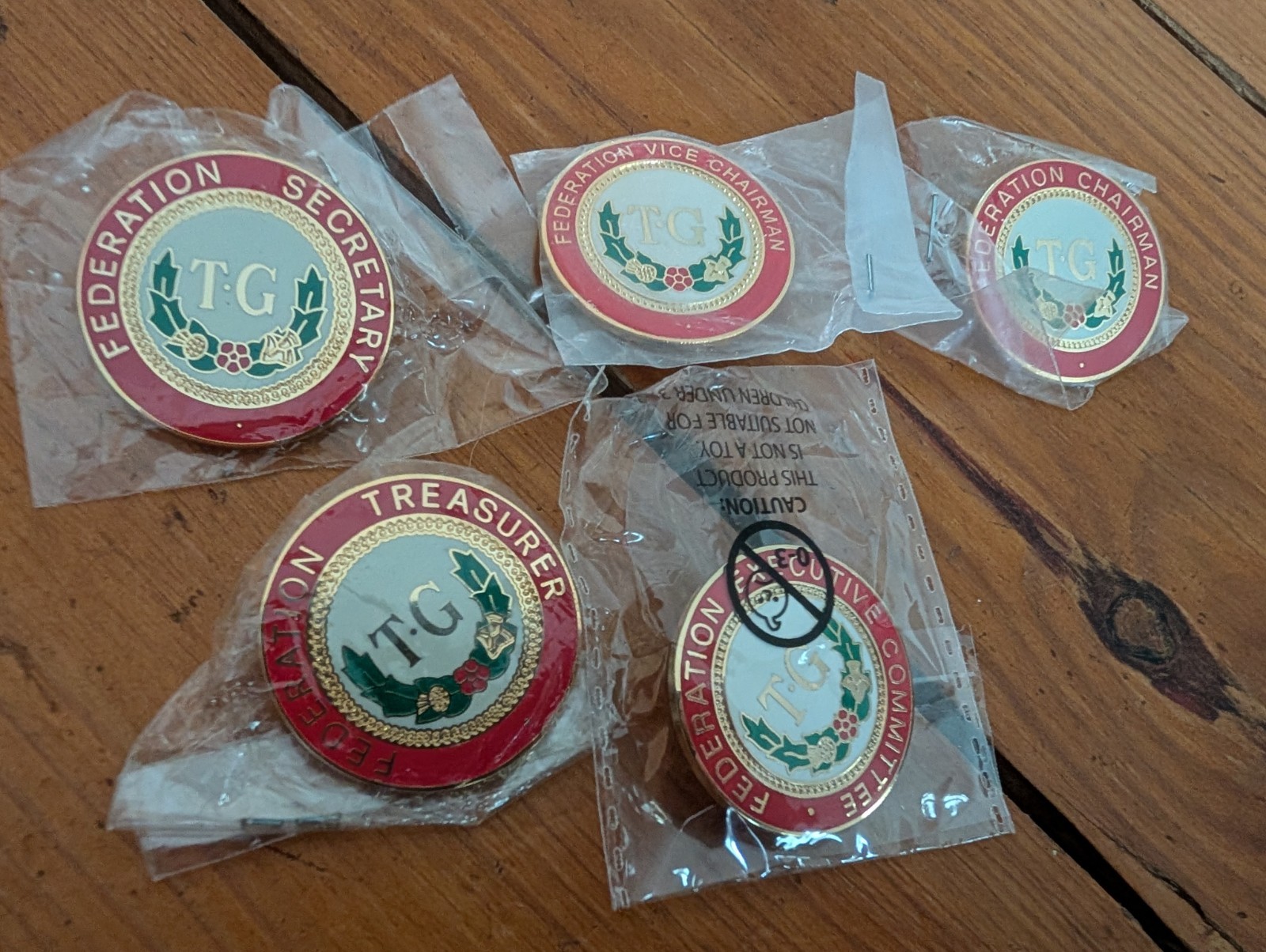 5 X Townswomen's Guild Chairman/Treasurer/Secretary enamel pin badges Bundle Lot