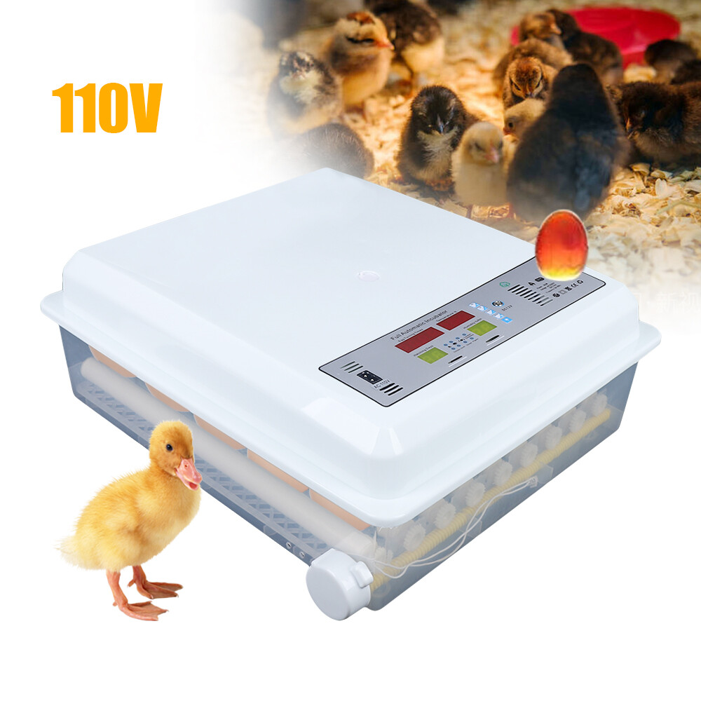64 Eggs Incubator Digital Automatic Turning Hatcher Chicken Temperature Control