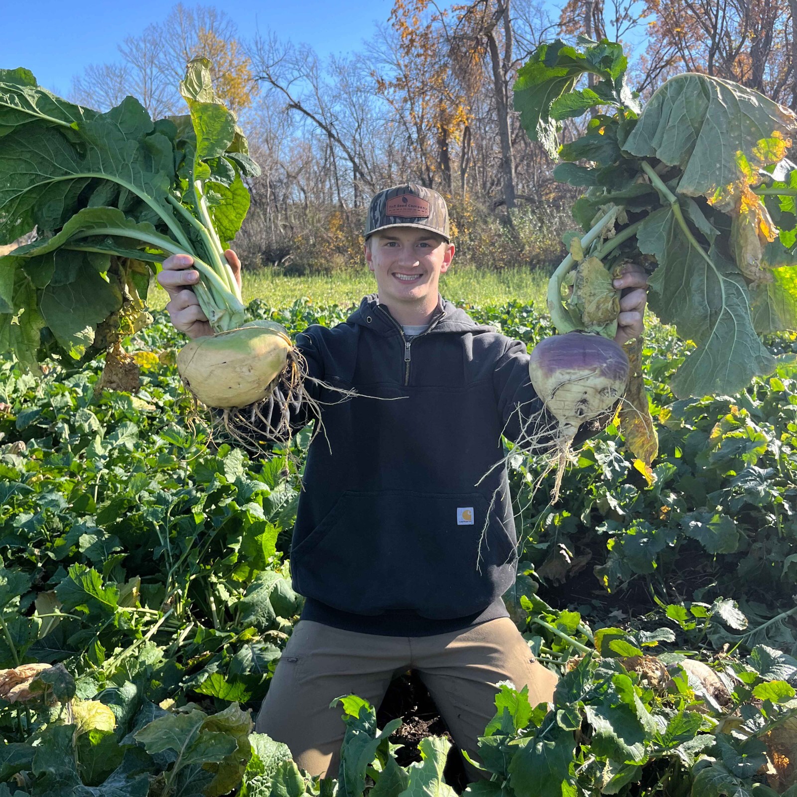 Brassica Overload Mix Food Plot Seed, Seeds 1/2 Acre, Deer, Turkeys, 3 lb Jug