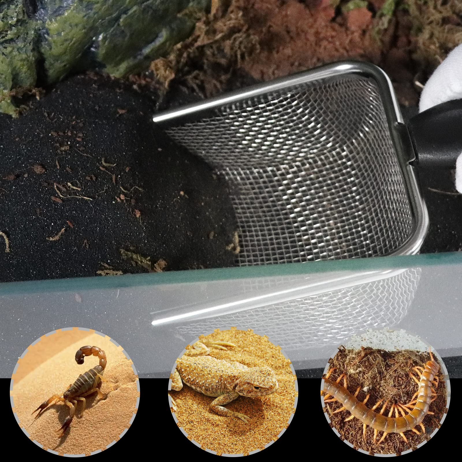 Aiicioo- Stainless Steel Sand Scoop - Fine Mesh Terrarium Substrate Cleaner