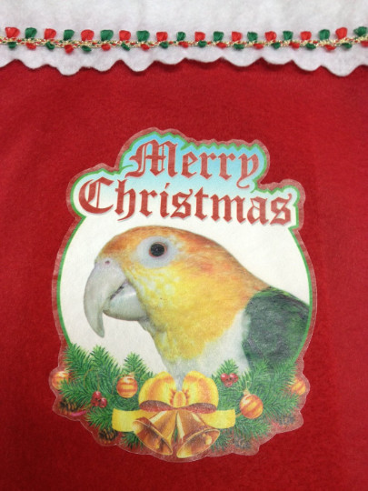 SALE!  White Bellied Caique Parrot Exotic Bird Holiday Christmas Stockings