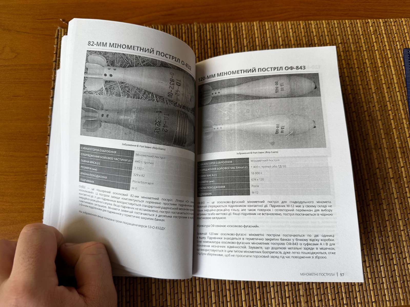 A Guide for Ukraine 2024