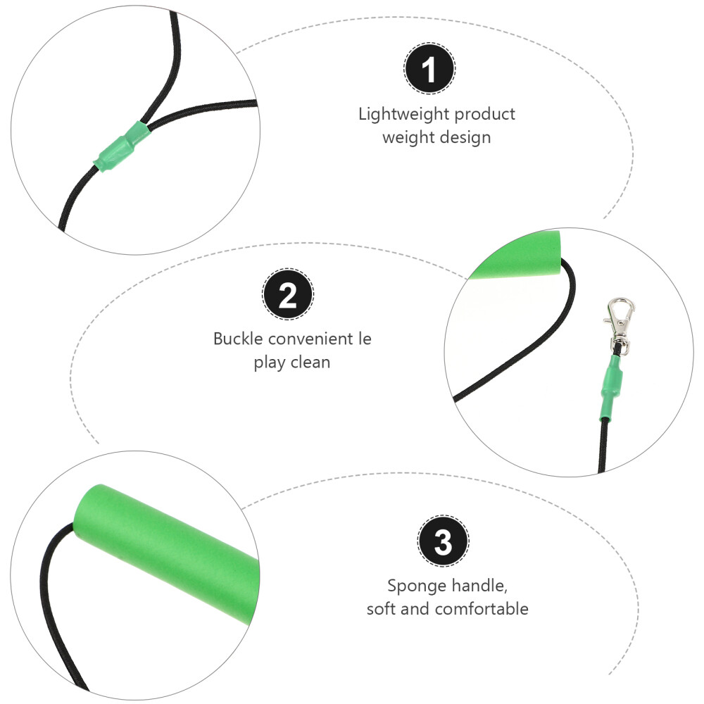 Conure Conure Bird Rope Hamster Leash Training
