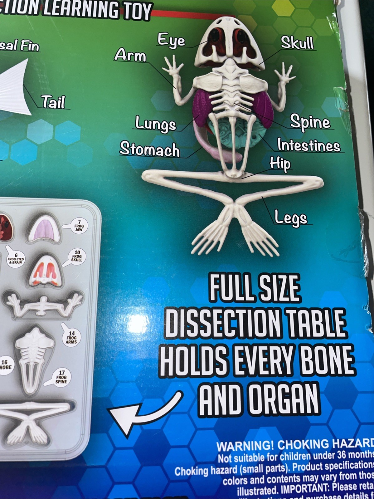Dissect-It Frog & Piranha Mega Lab Playset [30 Piece Set!]