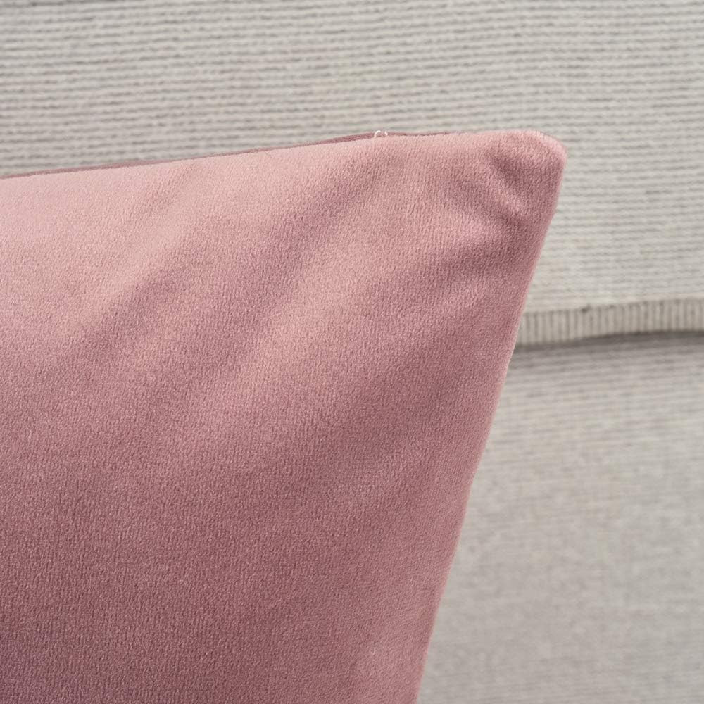 Set of 2 Comfortable Throw Pillow Cover for Bedding, Decorative Accent Cushion S