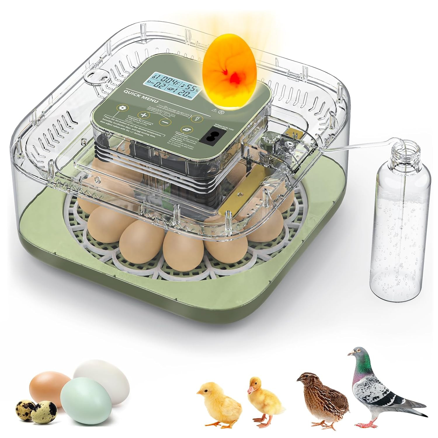 Incubators for Hatching Eggs, 12 Eggs Capacity, Egg Incubator with Automatic Egg