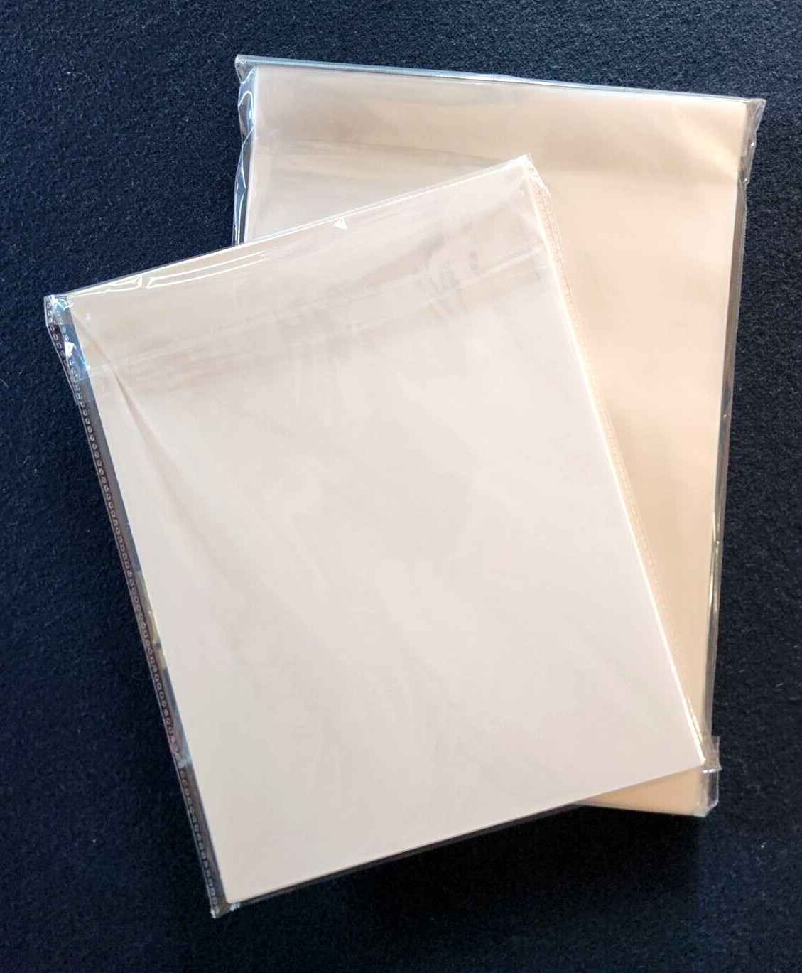 10 Magazine Size 8 3/4 Regular Size Magazine Book bags and 10 Backing Boards