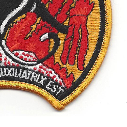 VF(AW)-4 Fighter All Weather Squadron Patch