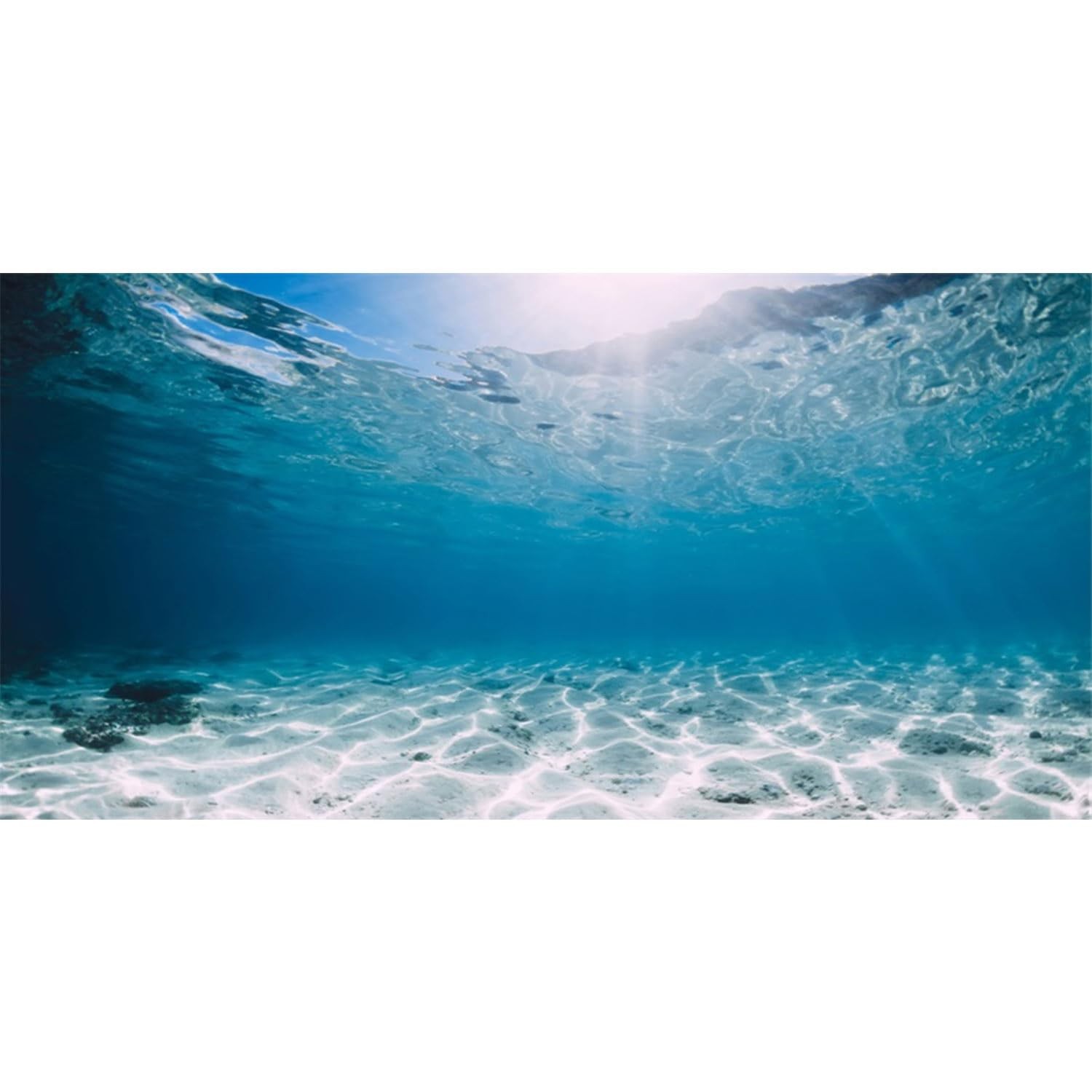 AWERT 48x24 inches Vinyl Undersea Ocean Floor Aquarium 48x24in/120x60cm