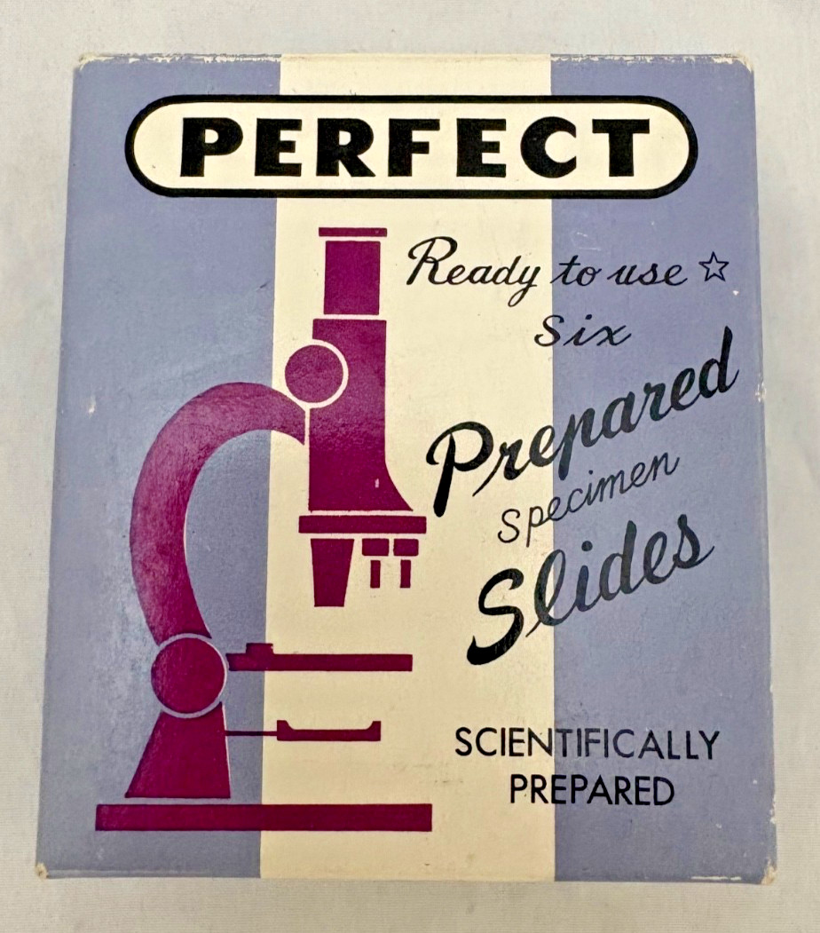 Vintage - PERFECT - Prepared Specimen Slides - Microscope - Sections Vegetables