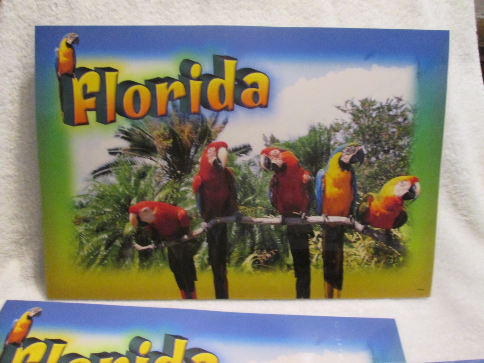 Florida Parrots Birds Plastic Laminated Placemats Reversible New Old Stock Set 4