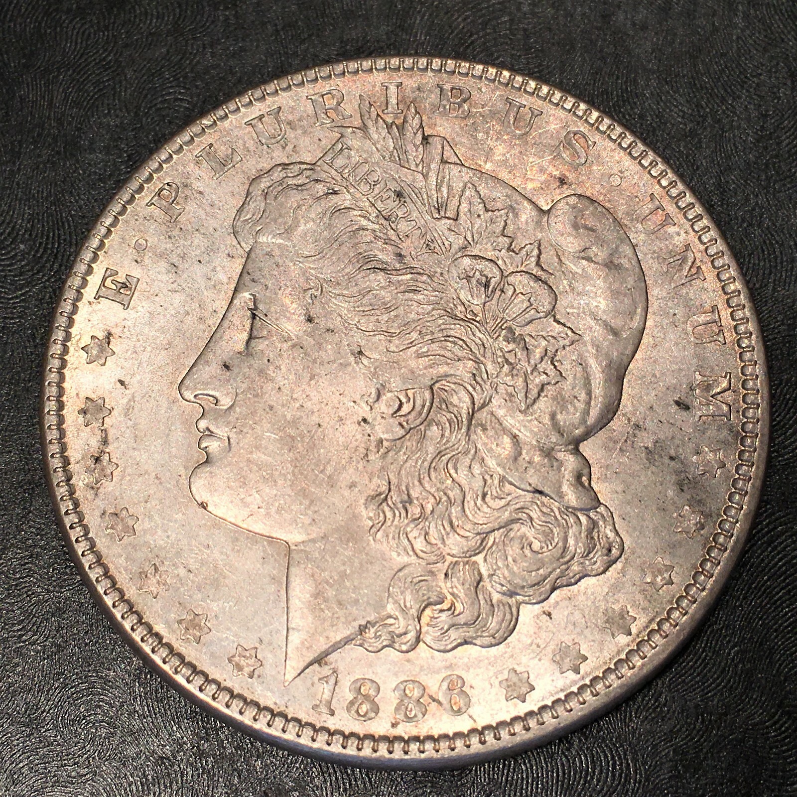 1886 Morgan Silver Dollar -  High Quality Scans #i164