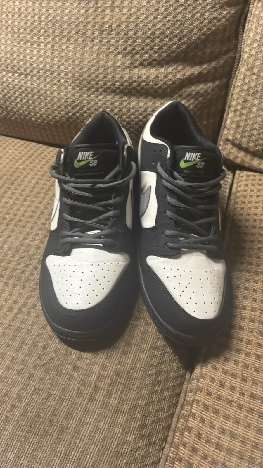Nike SB Dunk Low Pro Panda Pigeon Jeff Staple Black White Green