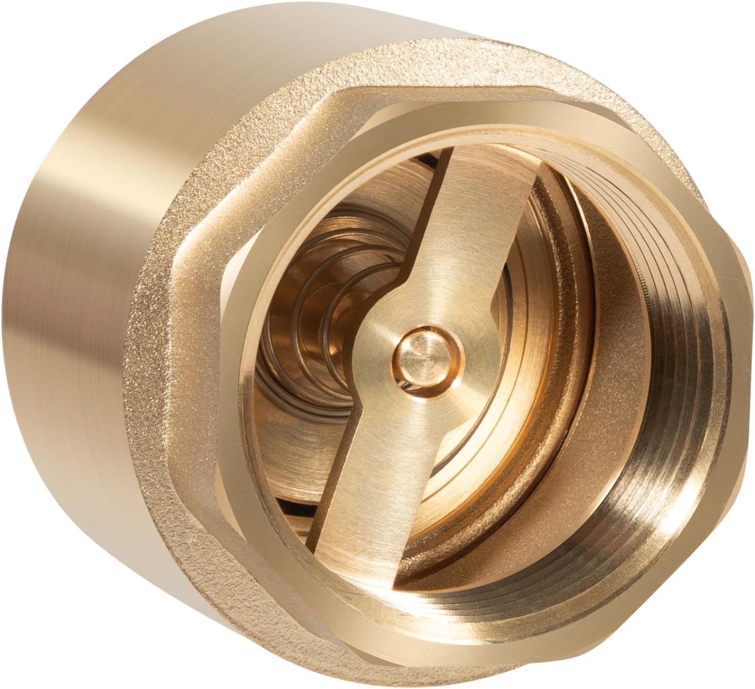 1-1/4" Brass One Way Check Valve NPT for Well Pump Irrigation Water System