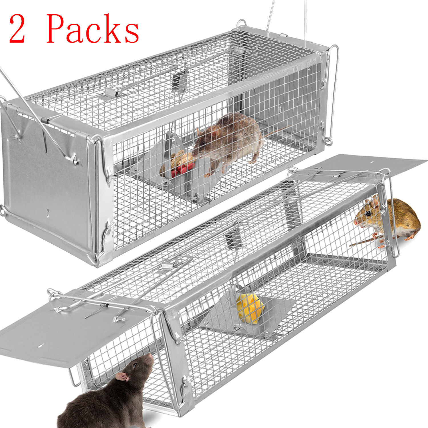 2Pack Humane Catch & Release Live Animal Trap Cage for Rat Squirrel Raccoons Cat