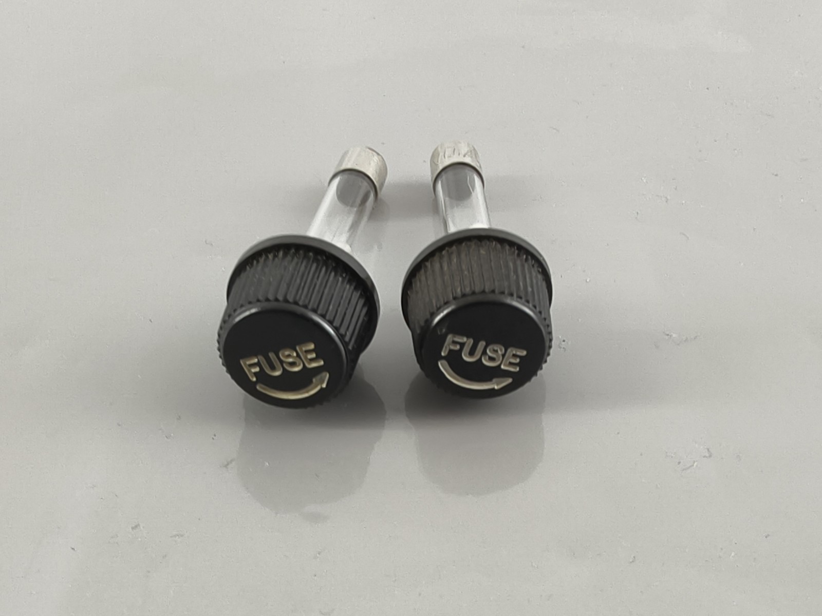 2 Nikon Microscope 30x6 Fuse Caps