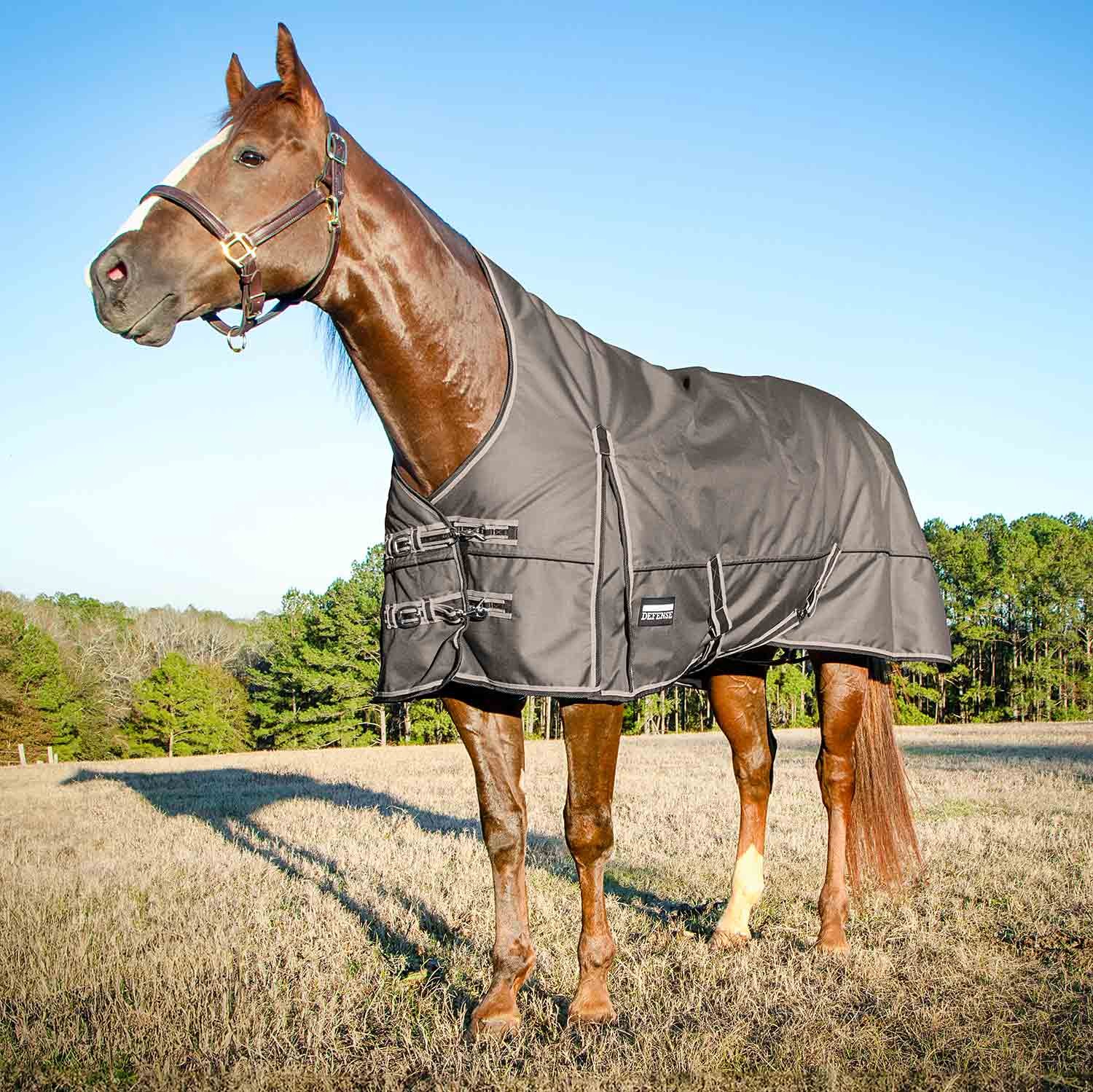 Poplar Head Defense 1680 Denier Turnout Blanket with High Neck, 240 Gram,