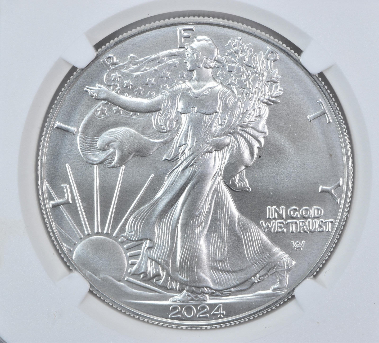 2024-W Burnished Silver Eagle MS70 NGC Brown Label