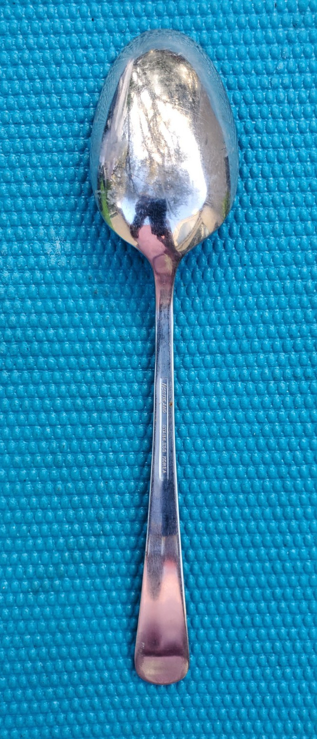 Oneida Northland POST ROAD SERVING SPOON 8 3/8"