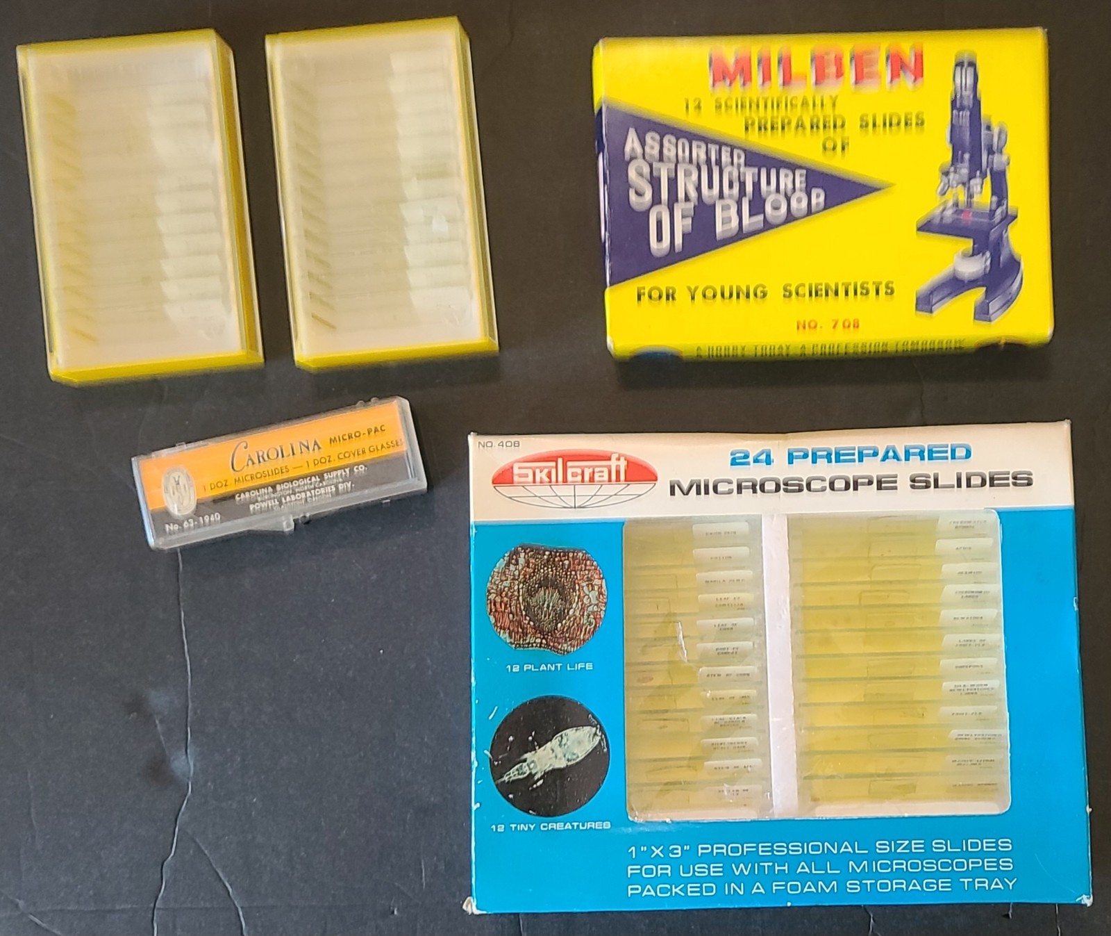 Lot Of Vintage Scientifically Prepared Slides: Mullen & Skilcraft + Blank Slides
