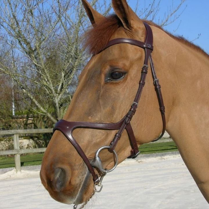 Dion X-FIT Bridle