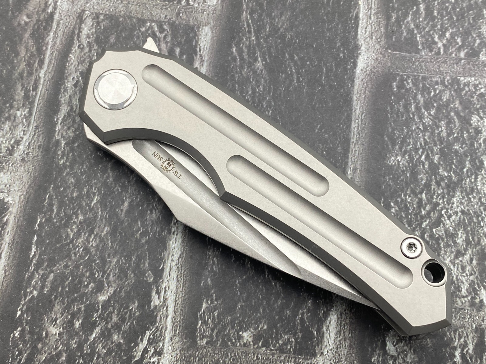 Twosun TS220-M390-SW Folding Knife M390 Titanium Handle Fast Open Pocket Knife