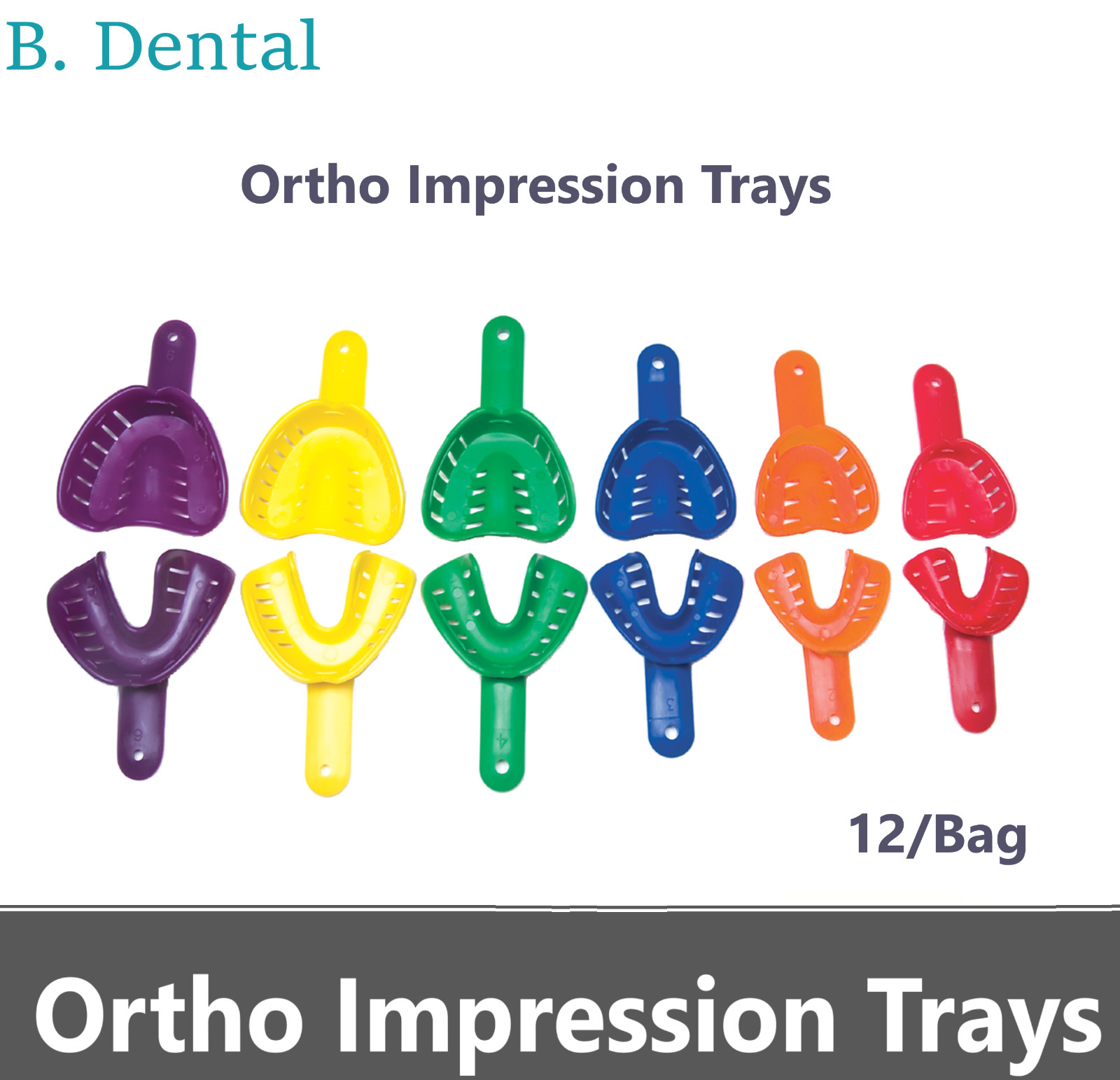 Dental Ortho Impression Trays Perforated Disposable for Pedo/ Child/Adult, 12/Bg