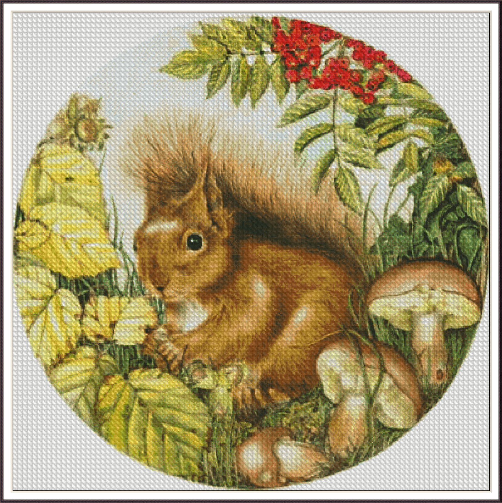 Playful Squirrel 138 Chart Counted Cross Stitch Pattern DMC