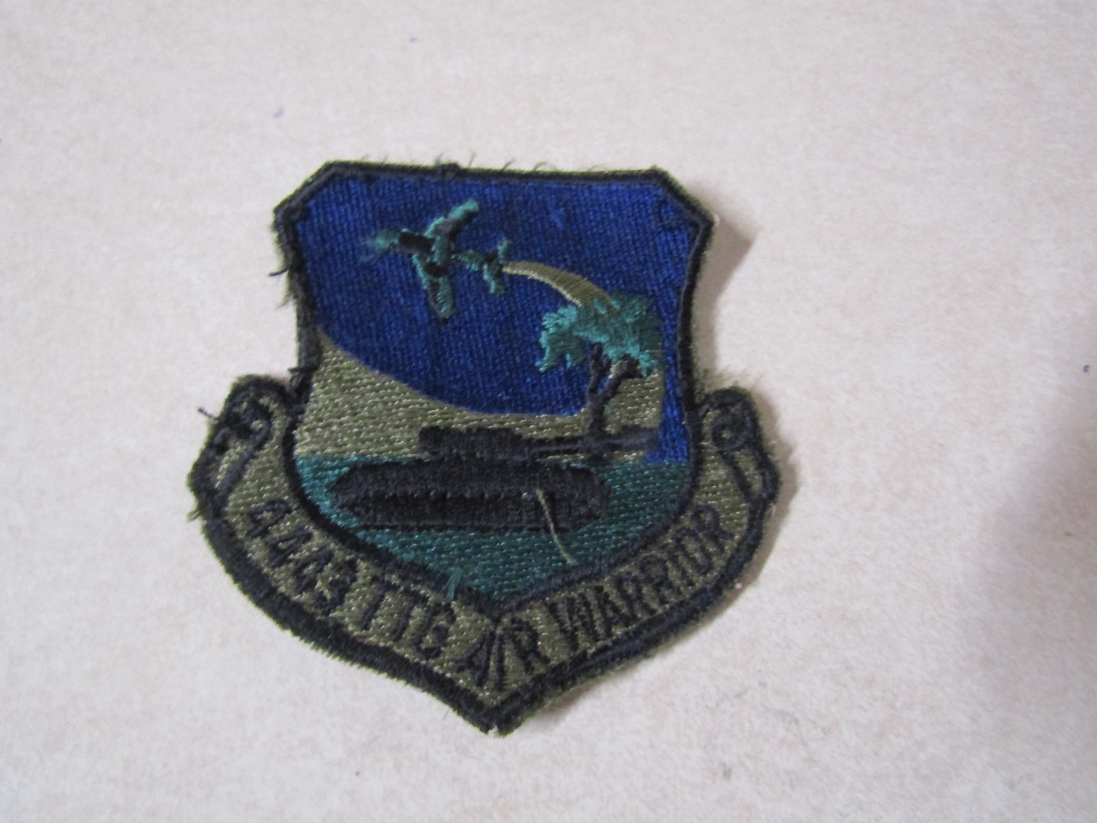 MILITARY PATCH OLDER COLORED SEW ON US AIR FORCE 4443 TTG AIR WARRIOR