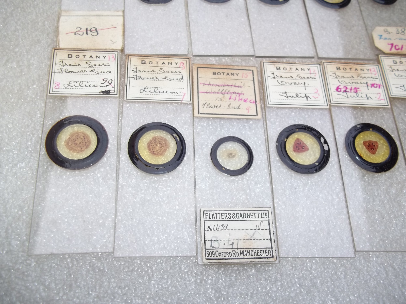 Vintage Glass Microscope Slides -