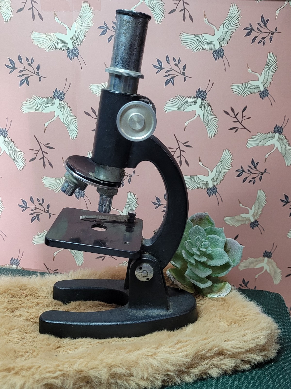 Vintage Sears Student Microscope 100x 200x 300x Magnification Untested No Slides