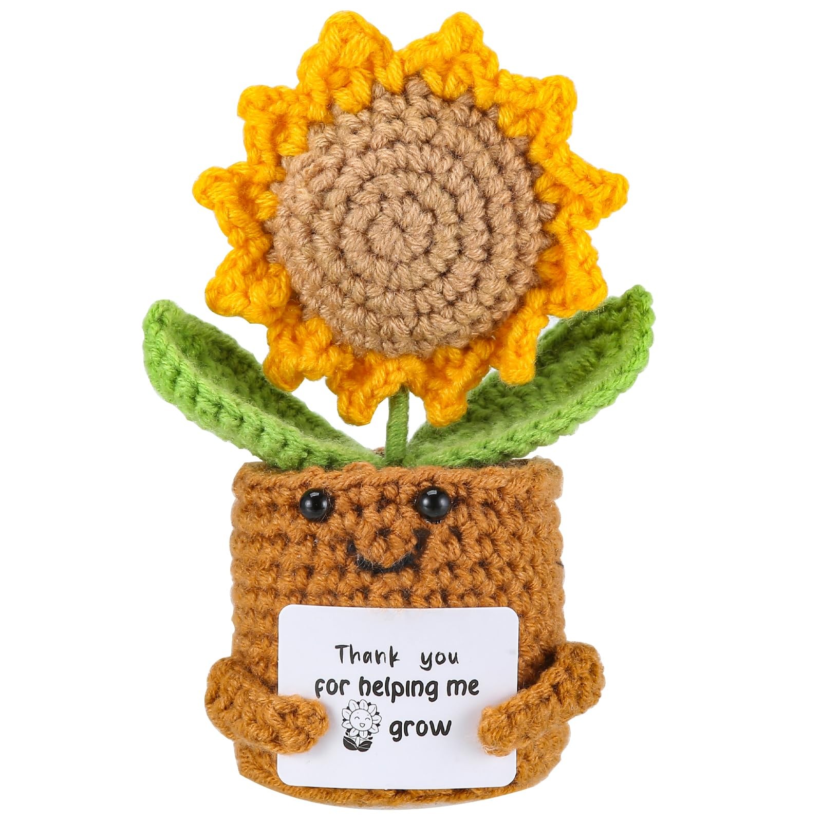 Appreciation Gifts for Teacher,Thank You for Helping me Grow, Positive bee Sunfl
