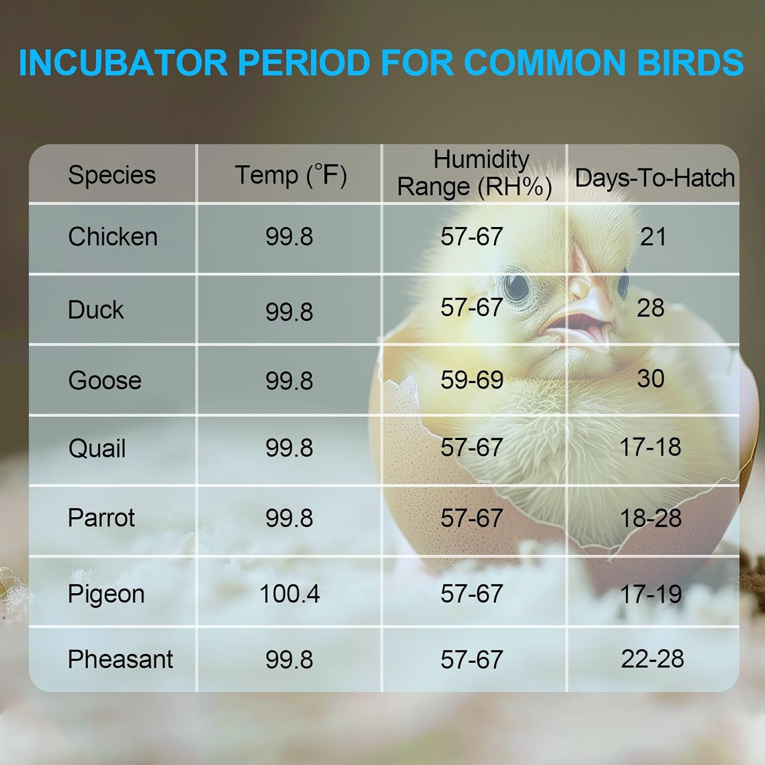 HBN 18 Egg Incubator with Temperature Control, Automatic Egg Turning & Humidity