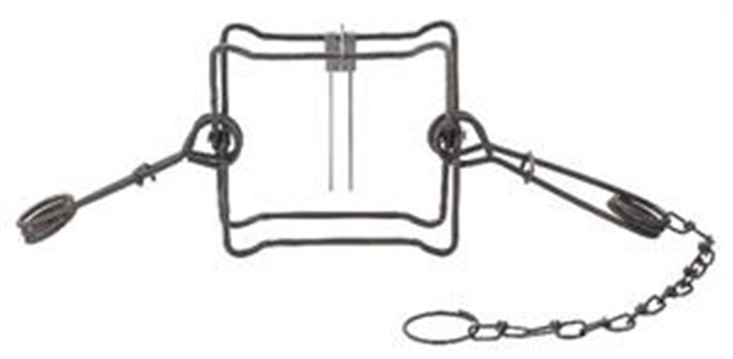 (2 Pack) Duke 220 Double Spring Body Trap for Coon-Otter-Fisher-Ground Hog-Skunk