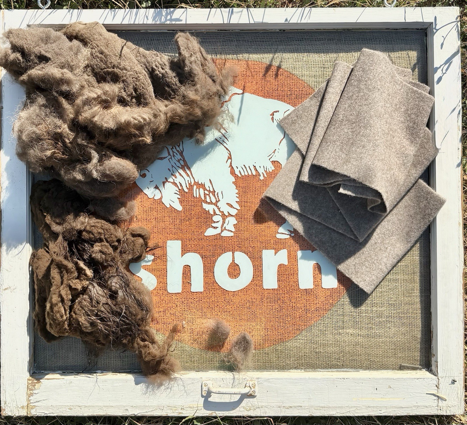 Bison Fiber. Professionally Shorn. Unscoured. 100% Natural