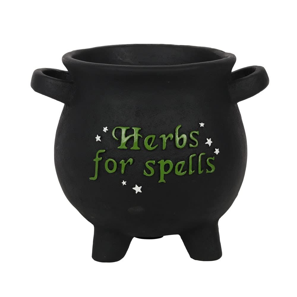 Pacific Giftware Terracotta �Herbs for Spells� Cauldron Indoor Garden Planter