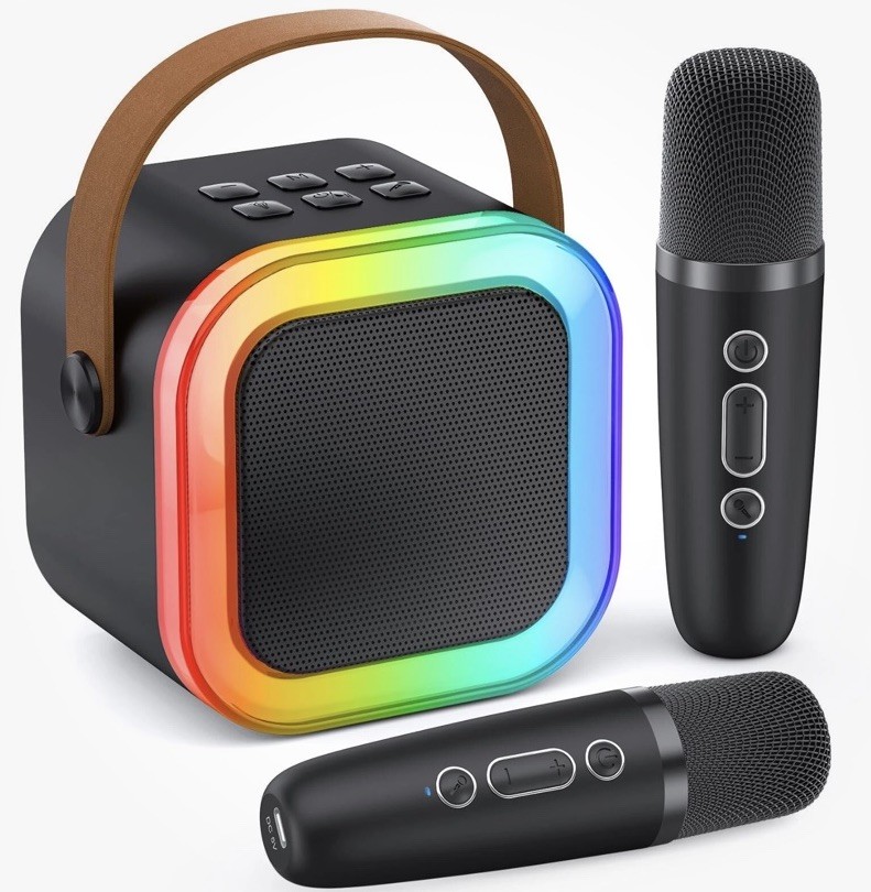 Mini Karaoke ,Portable Bluetooth Speaker With 2 Wireless Microphones