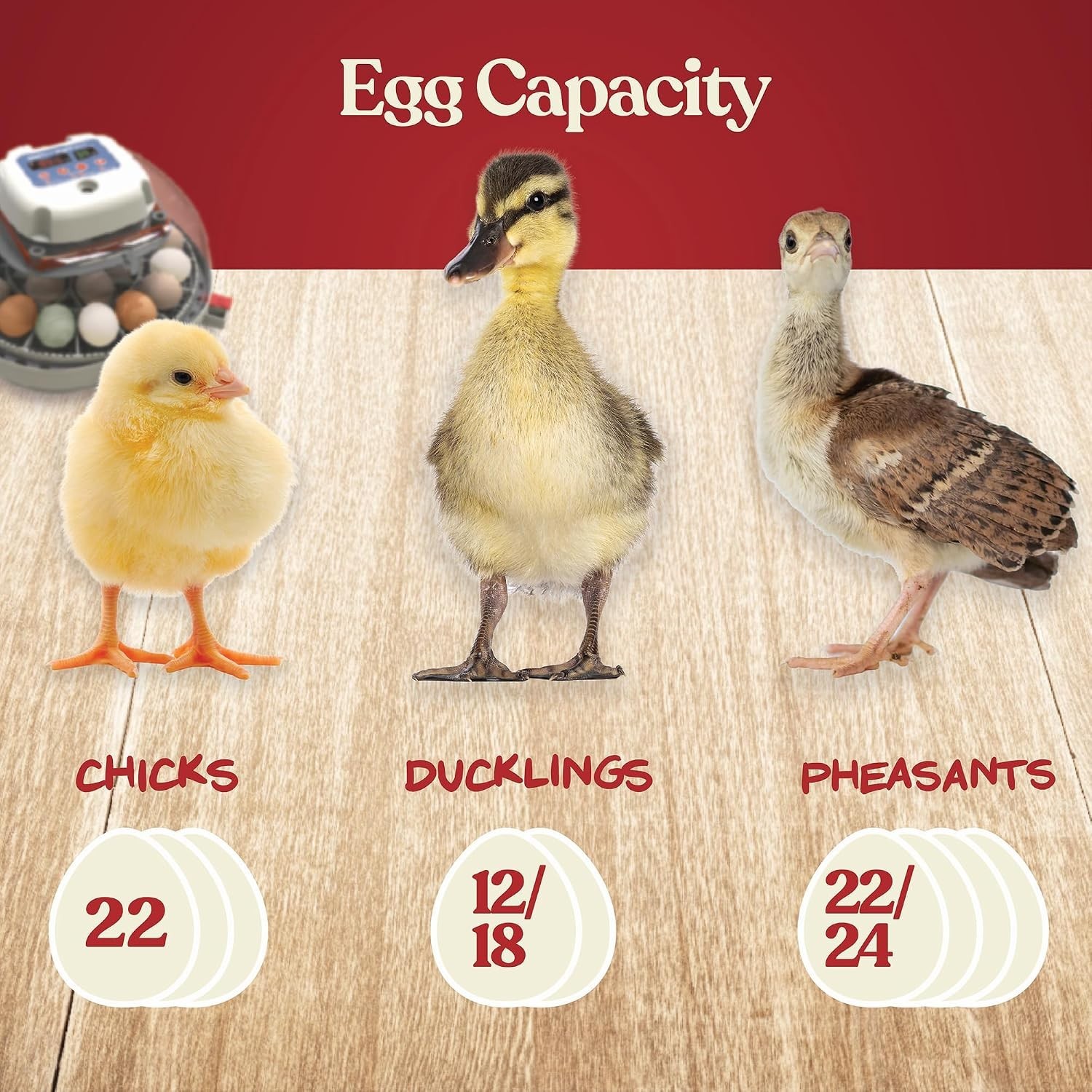 Automatic Egg Turner Incubator for Multiple Poultry Species