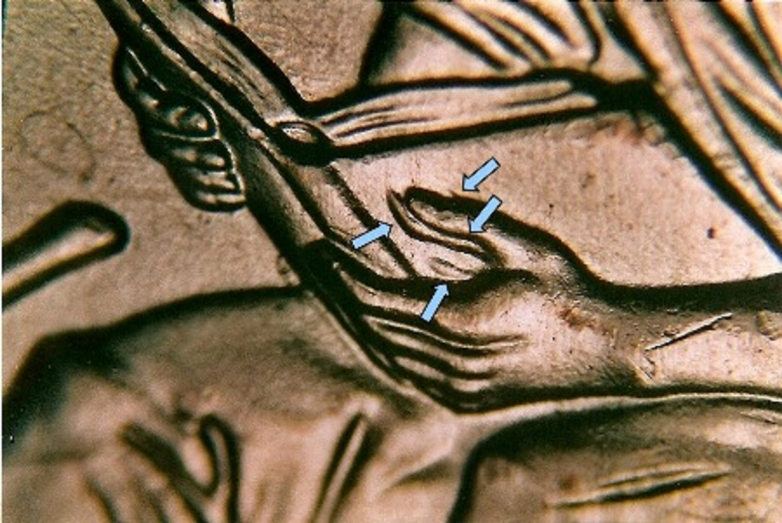 2009P Lincoln Cent FY-WDDR-043-/1DEO-002T-Wexler's Best of Variety! B.U.