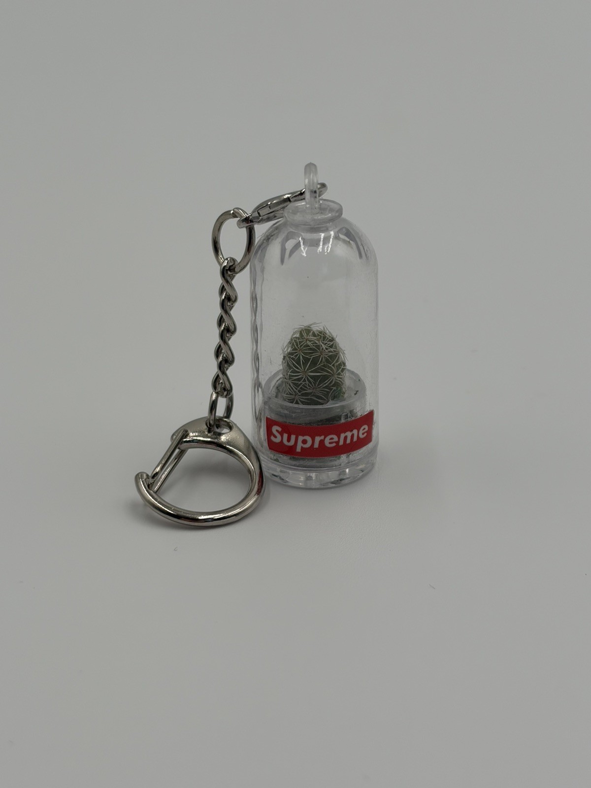 Supreme Cactus Keychain Box Logo SS18