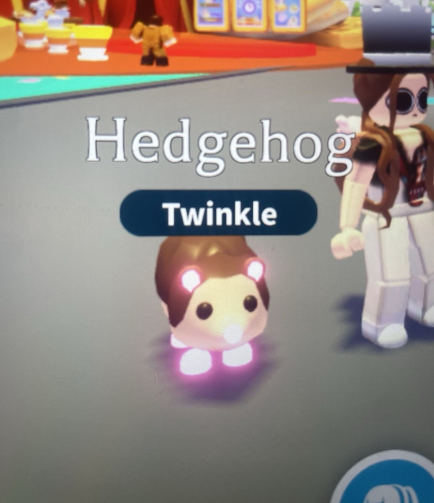 Adopt Neon Hedgehog! - Rideable (Twinkle) Adopt Me