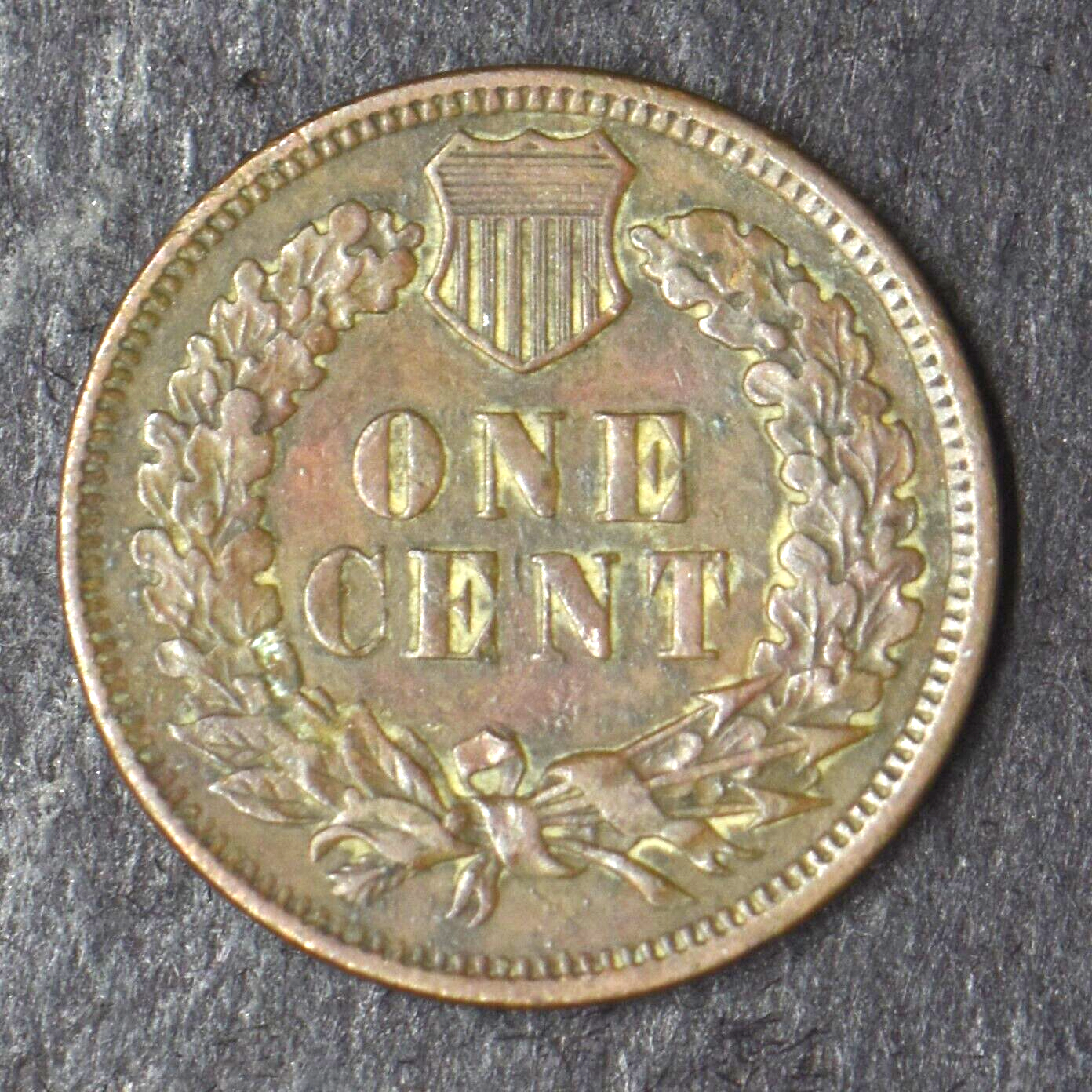 1901 Indian Head Cent - COINGIANTS -