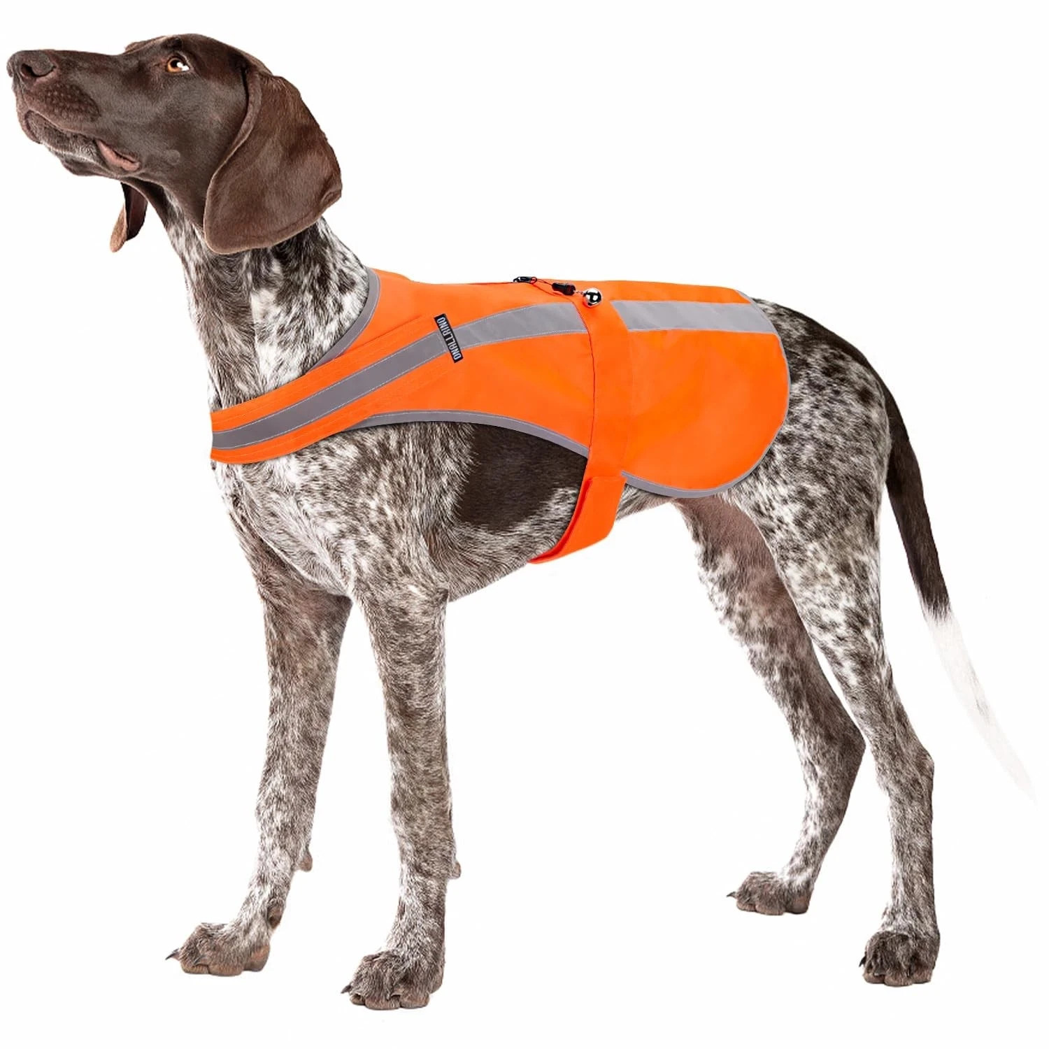 Reflective Dog Vest for Medium Large Breeds, High Visibility M, Blaze Orange