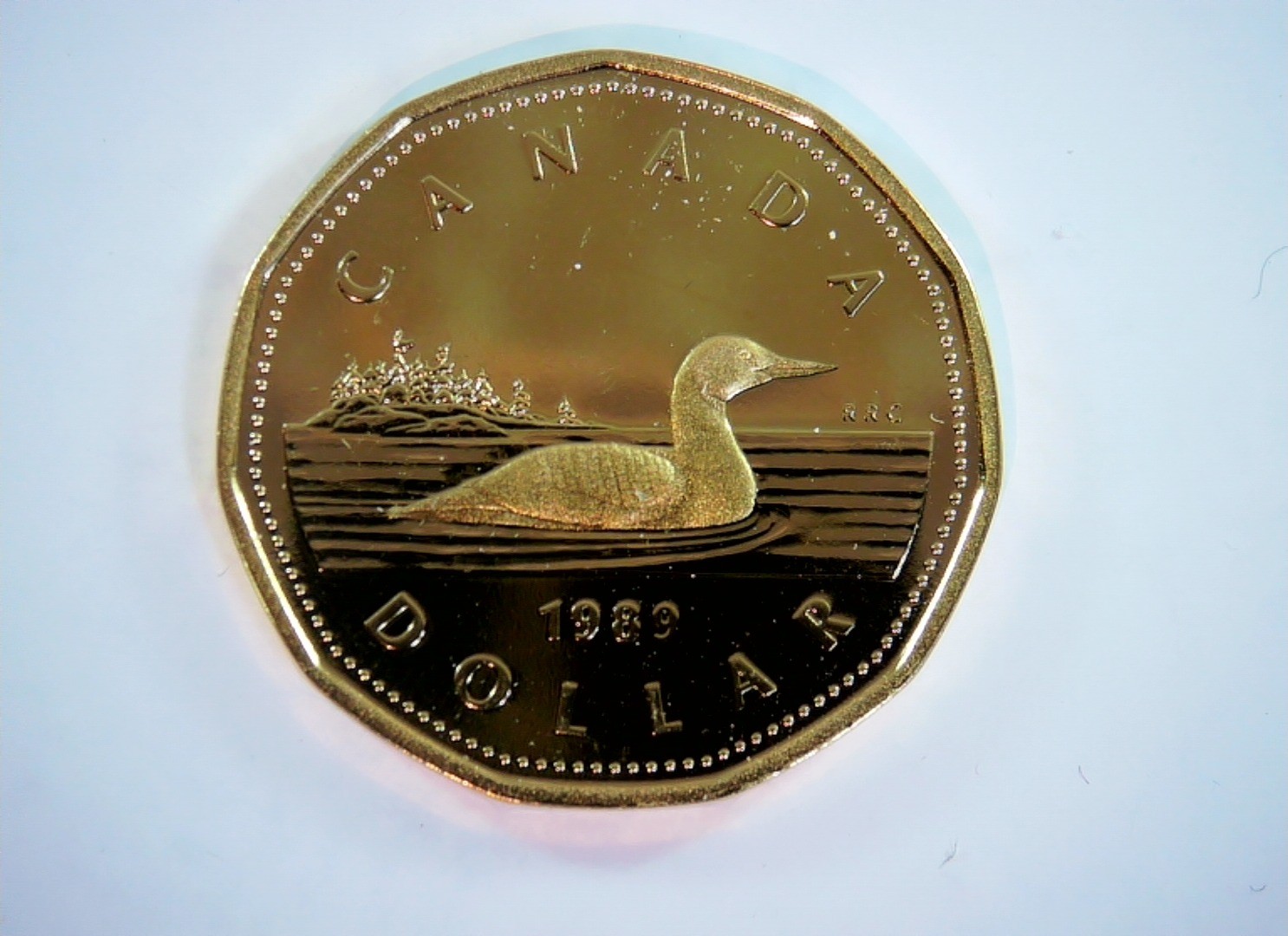 Canada 1989 1 Dollar Canadian Loonie (Common Loon) Coin