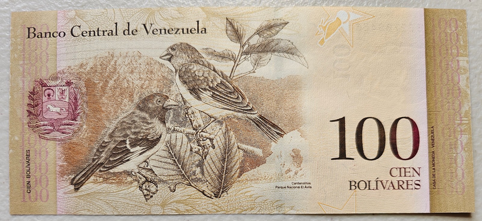 Venezuela 100 Bolivares 2007 Unc