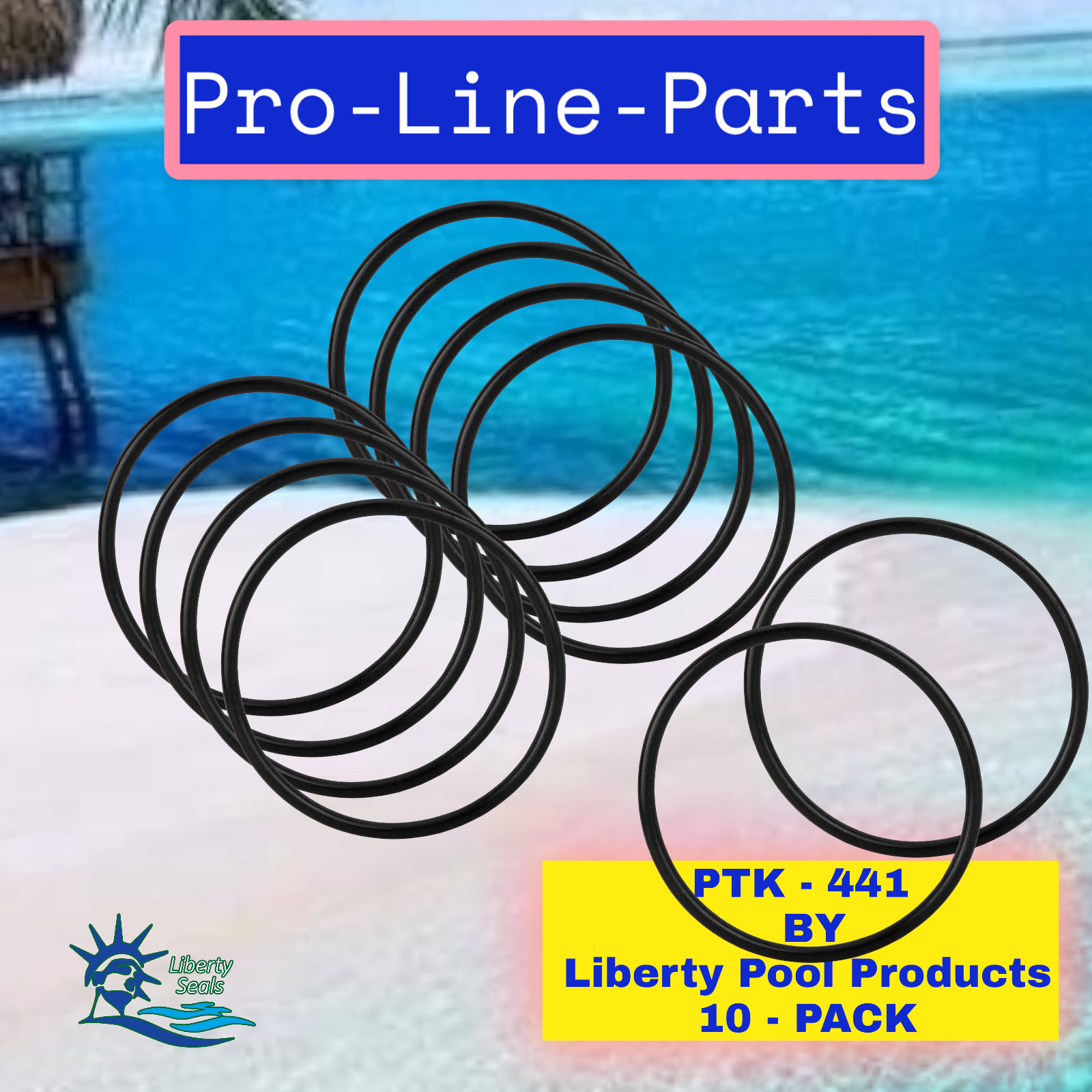 SPX1438H  Pro Jet O-ring (10-PACK) PTK-441 Replacement For  Hayward®