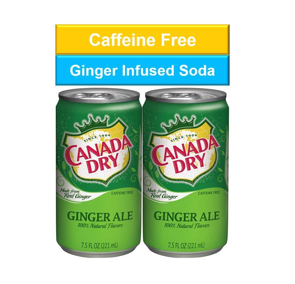 Ginger Ale Mini Soda Cans, 7.5 oz Soft Drinks Bulk Snacks 24 Pack, Small