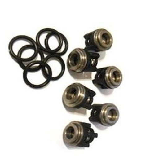 Valve Kit Set of 6 for Hypro PowerLine Plus Models (3430-0491)