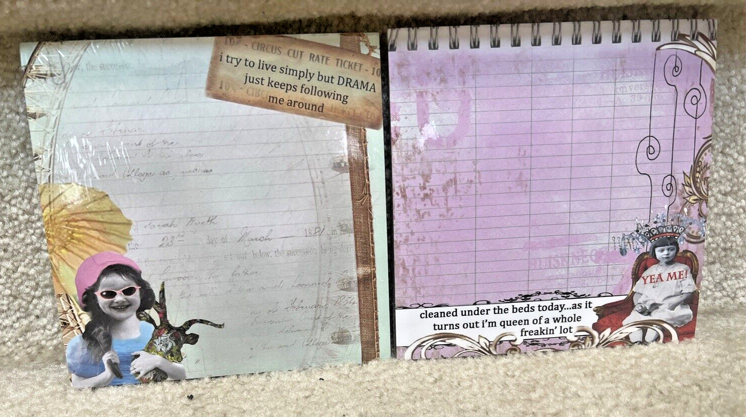 2 HOLY CRAP NOTEPADS Erin Smith CLEANED UNDER THE BEDS.. & Drama Keeps Following