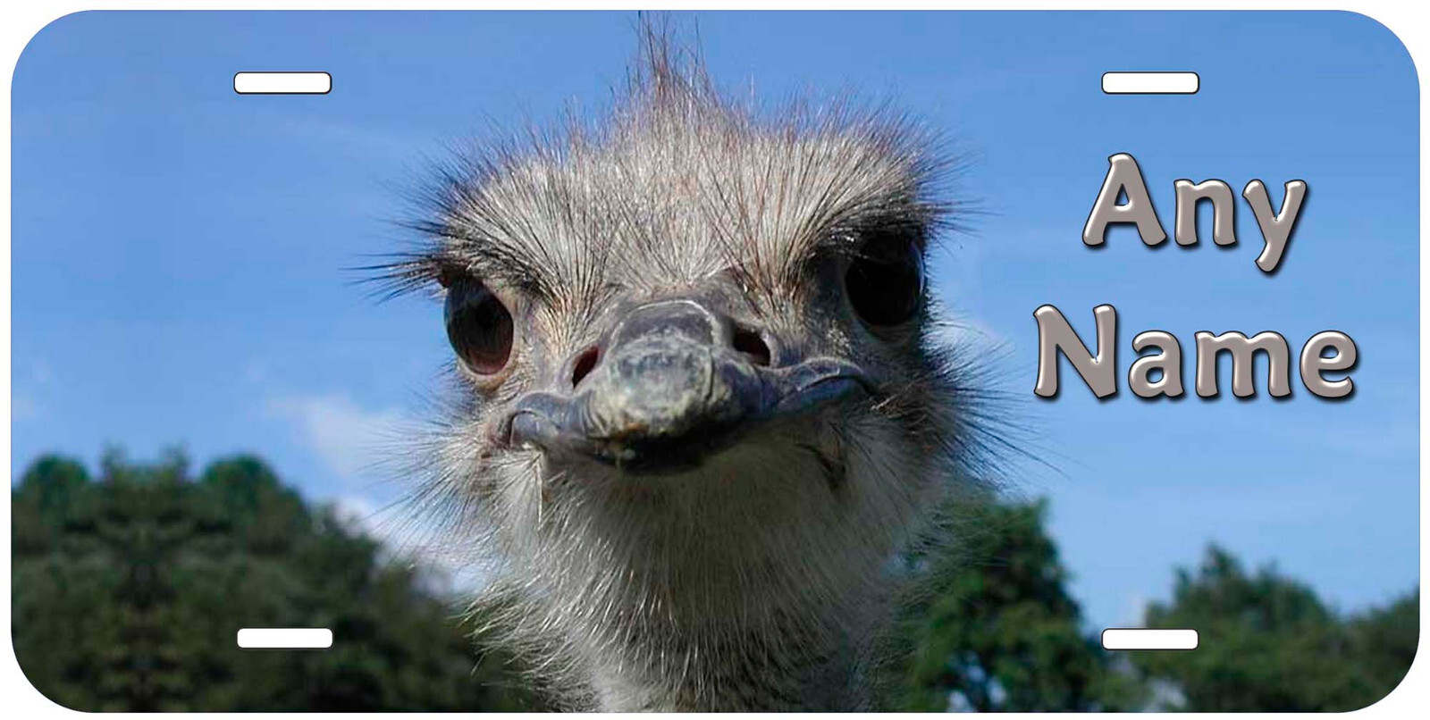 Ostrich Any Name Personalized Novelty Car License Plate